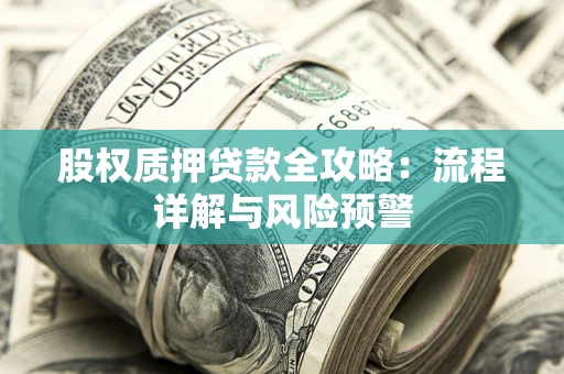 武汉股权质押贷款全攻略：流程详解与风险预警