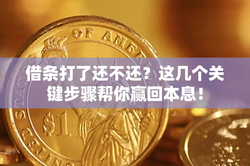 武汉借条打了还不还？这几个关键步骤帮你赢回本息！