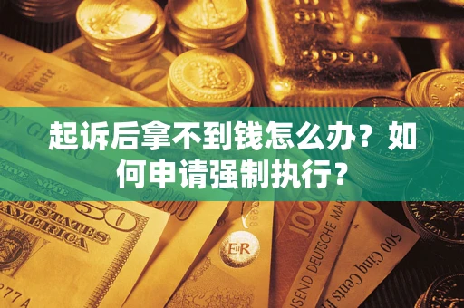 武汉起诉后拿不到钱怎么办？如何申请强制执行？