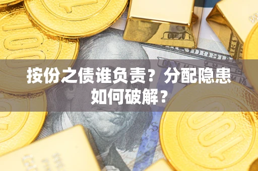 武汉按份之债谁负责？分配隐患如何破解？