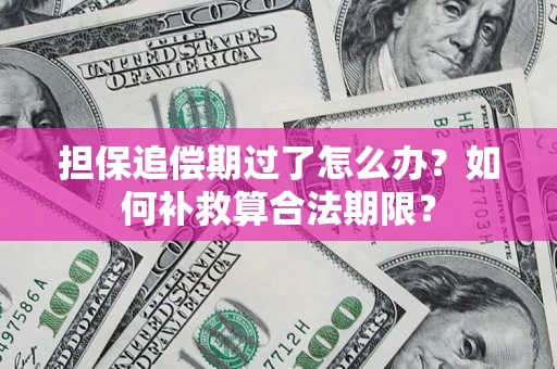 武汉担保追偿期过了怎么办？如何补救算合法期限？