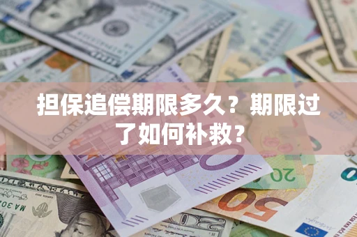 武汉担保追偿期限多久？期限过了如何补救？