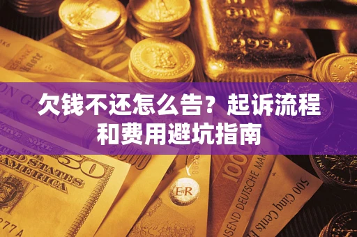武汉欠钱不还怎么告？起诉流程和费用避坑指南