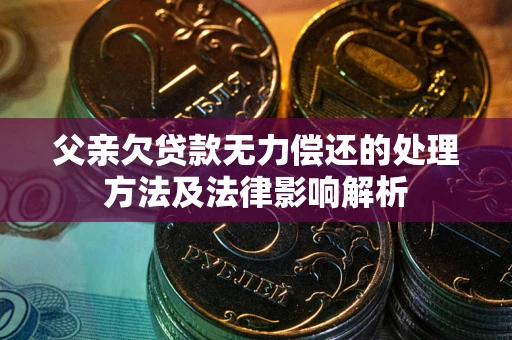 武汉父亲欠贷款无力偿还的处理方法及法律影响解析