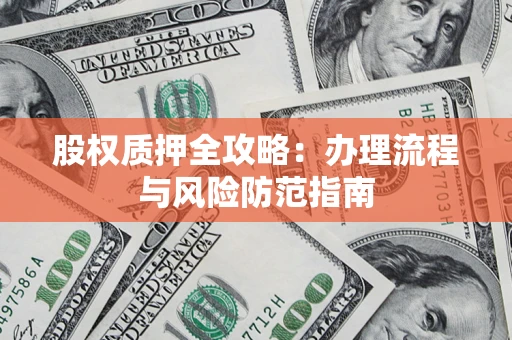 武汉股权质押全攻略：办理流程与风险防范指南