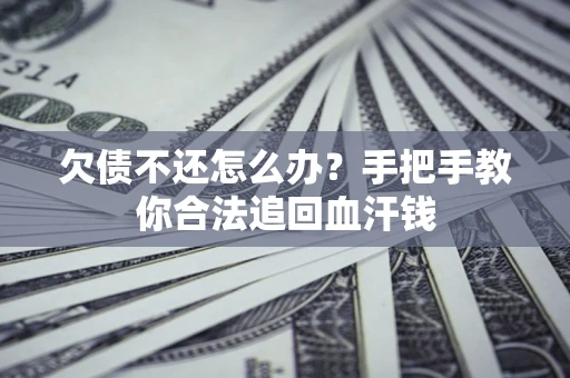 武汉欠债不还怎么办?手把手教你合法追回血汗钱 武汉欠债不还怎么办?手把手教你合法追回血汗钱