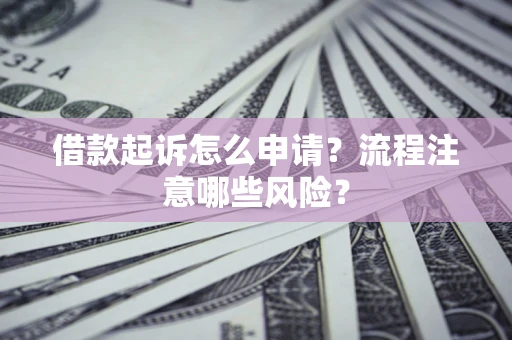 武汉借款起诉怎么申请？流程注意哪些风险？