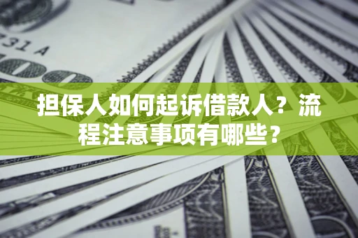 武汉担保人如何起诉借款人？流程注意事项有哪些？